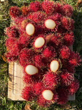 Load image into Gallery viewer, Rambutan | Box (~2.5lbs)