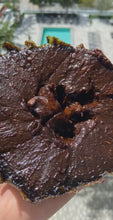 Load image into Gallery viewer, Black Sapote | Chocolate Pudding Fruit | (Box ~3lbs)