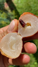 Load image into Gallery viewer, Lychee | No Mai Chi | Box (2KG)