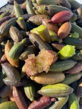 Load image into Gallery viewer, Lime | Caviar Lime Sampler (6-15 Pieces 100-200g)