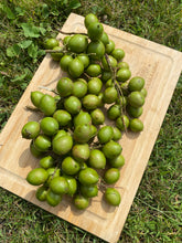 Load image into Gallery viewer, Guinep| Mamoncillo | Spanish Lime | 3lbs