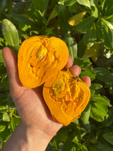 Load image into Gallery viewer, Canistel | Lucuma| Eggfruit | Box ~3lbs (~4-10Fruits)