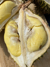 Load image into Gallery viewer, Durian | Fresh Monthong Durian 3-7Lbs