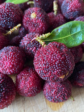 Load image into Gallery viewer, Bayberry | Yangmei (1 Pint)