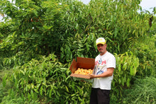 Load image into Gallery viewer, Achachiriu | Bolivian Mangosteen (~2 lbs)