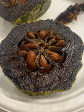 Load image into Gallery viewer, Black Sapote | Chocolate Pudding Fruit | (Box ~3lbs)
