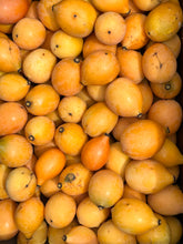 Load image into Gallery viewer, Achachiriu | Bolivian Mangosteen (~2 lbs)