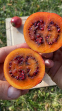 Load image into Gallery viewer, Tamarillo | Red Box 2kg (15-24 Fruits)