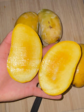 Load image into Gallery viewer, Mango | Pakistani Chaunsa mango Box *Ultra Rare*