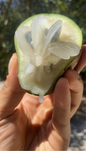 Load image into Gallery viewer, Star Apple | Caimito | Mixed or Single Colour (Box 3lbs)