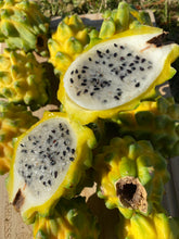 Load image into Gallery viewer, Dragonfruit | Yellow Pitahaya Box (6-9 Pieces)