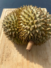 Load image into Gallery viewer, Durian | Fresh Monthong Durian 3-7Lbs