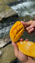 Load image into Gallery viewer, Mango | Mallika | 4lbs Box