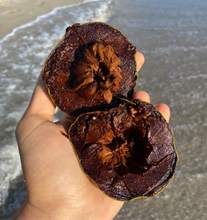 Load image into Gallery viewer, Black Sapote | Chocolate Pudding Fruit | (Box ~3lbs)