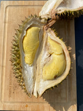 Load image into Gallery viewer, Durian | Fresh Monthong Durian 3-7Lbs