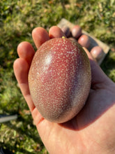 Load image into Gallery viewer, Passionfruit | Purple | Box (~2-3lbs)