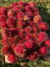 Load image into Gallery viewer, Rambutan | Box (~2.5lbs)