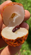 Load image into Gallery viewer, Lychee | No Mai Chi | Box (2KG)