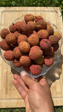 Load image into Gallery viewer, Lychee | No Mai Chi | Box (2KG)