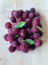 Load image into Gallery viewer, Bayberry | Yangmei (1 Pint)