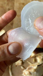 ICE APPLE | BORASSUS FLABELLIFER  (2 FRUITS)