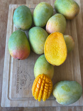 Load image into Gallery viewer, Mango | Kesar Indian Box - (10-12 mangos)