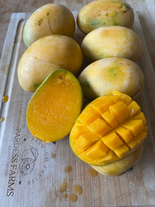 Mango | Mingolo Dominican Republic | Box - 4KG (8-16 Mangos)