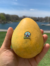 Load image into Gallery viewer, MANGO | BADAMI INDIA (BOX OF 12)