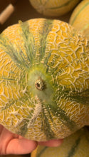 Load image into Gallery viewer, MELON | GOLDEN KISS