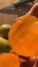 Load image into Gallery viewer, Mango | Egyptian Alphonso Box (~10-12 Mangos)