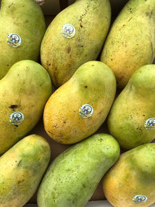 Mango | Haiti Madame Francisk  Box- 4 KG (8-12 Mangos)