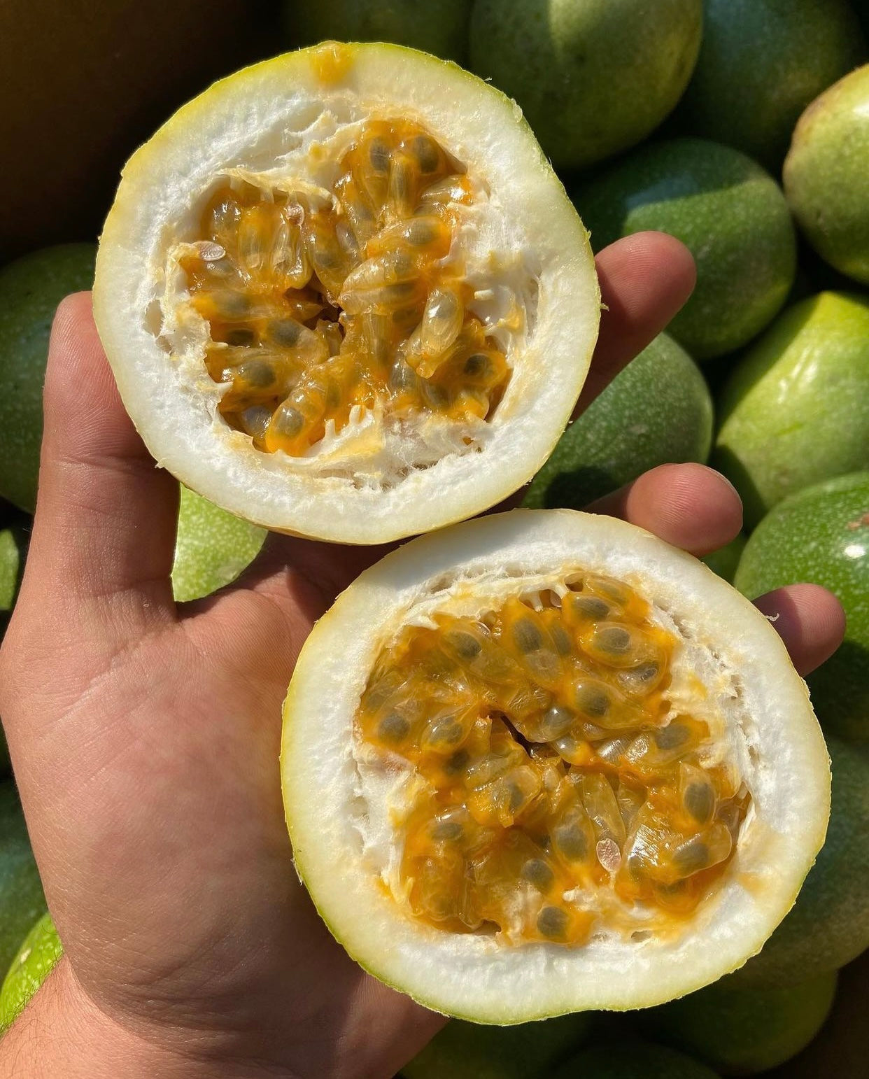 Buy wholesale Fruit Puree Mikah Premium Mix Fruit - Maracuja (Passion Fruit)