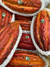 Load image into Gallery viewer, Cacao Fruit | Chocolate Fruit | Box (1-3 Fruits)