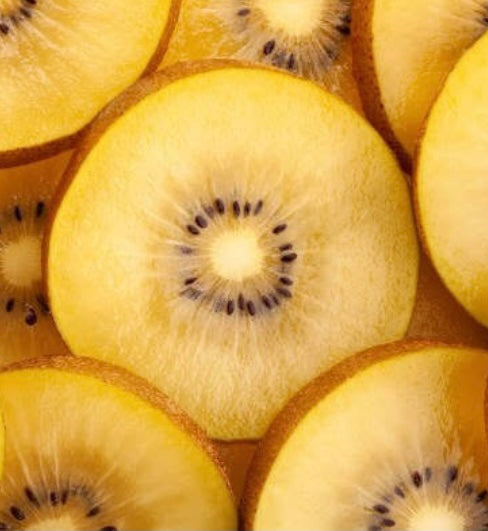KIWI | YELLOW (PACK OF 5)