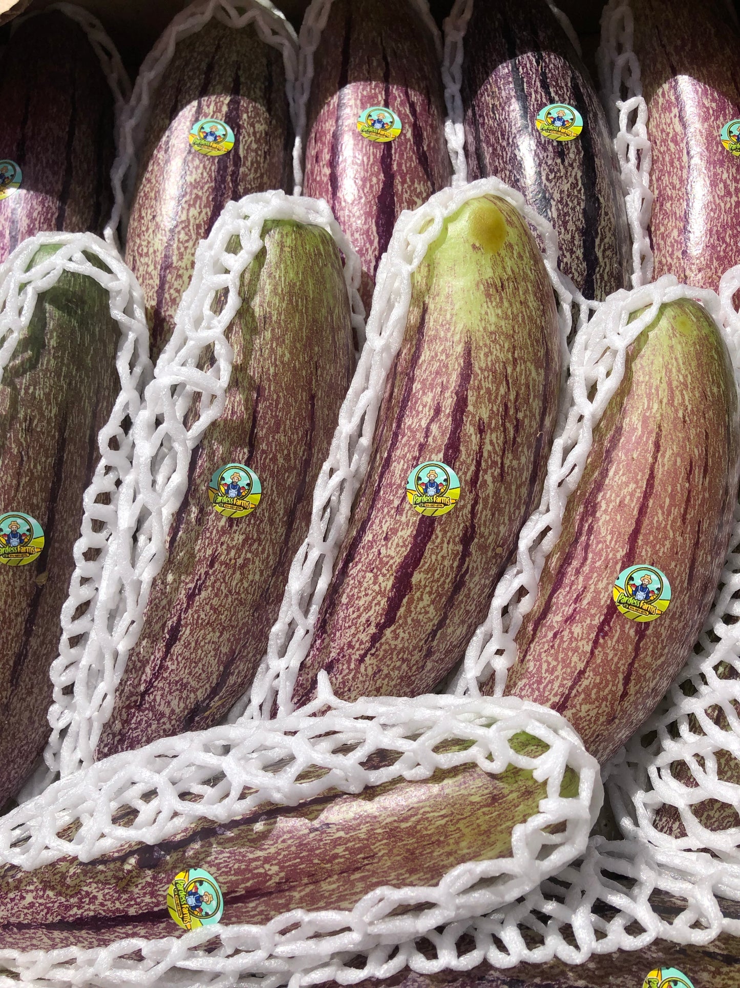 PURPLE PEPINO MELON 2KG BOX (7-20 PIECES)