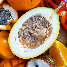 Load image into Gallery viewer, SWEET MARACUA | PASSIFLORA ALATA (2)