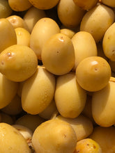 Load image into Gallery viewer, DATTES | FRESH BARHI PERU (2LBS)