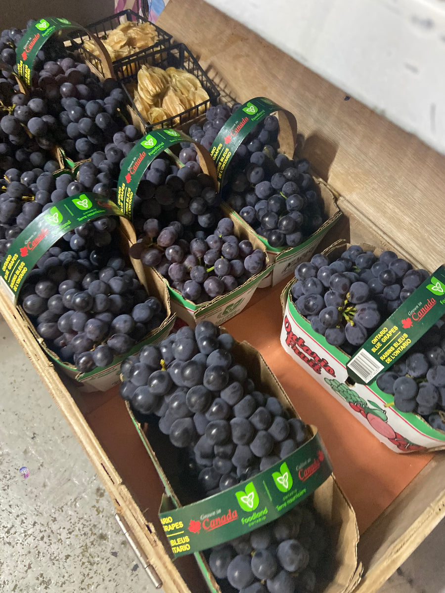 GRAPES ONTARIO BLUE GRAPES 1.5L Pardess Farms