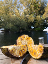 Load image into Gallery viewer, JACKFRUIT | (1 WHOLE FRUIT)