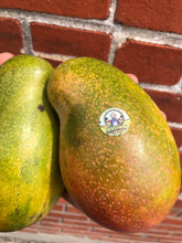 Load image into Gallery viewer, Mango | Jamaican East Indian Box 2kg (5-10 Mangos)