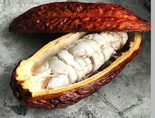 Load image into Gallery viewer, Cacao Fruit | Chocolate Fruit | Box (1-3 Fruits)
