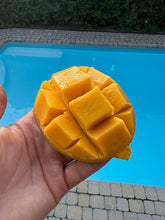 Load image into Gallery viewer, Mango | Julie Mango Jamaica 2kg Box