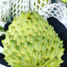 Load image into Gallery viewer, ATEMOYA | BOX 3-4 KG