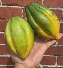 Load image into Gallery viewer, PAPAYUELLA | 1 FRUIT