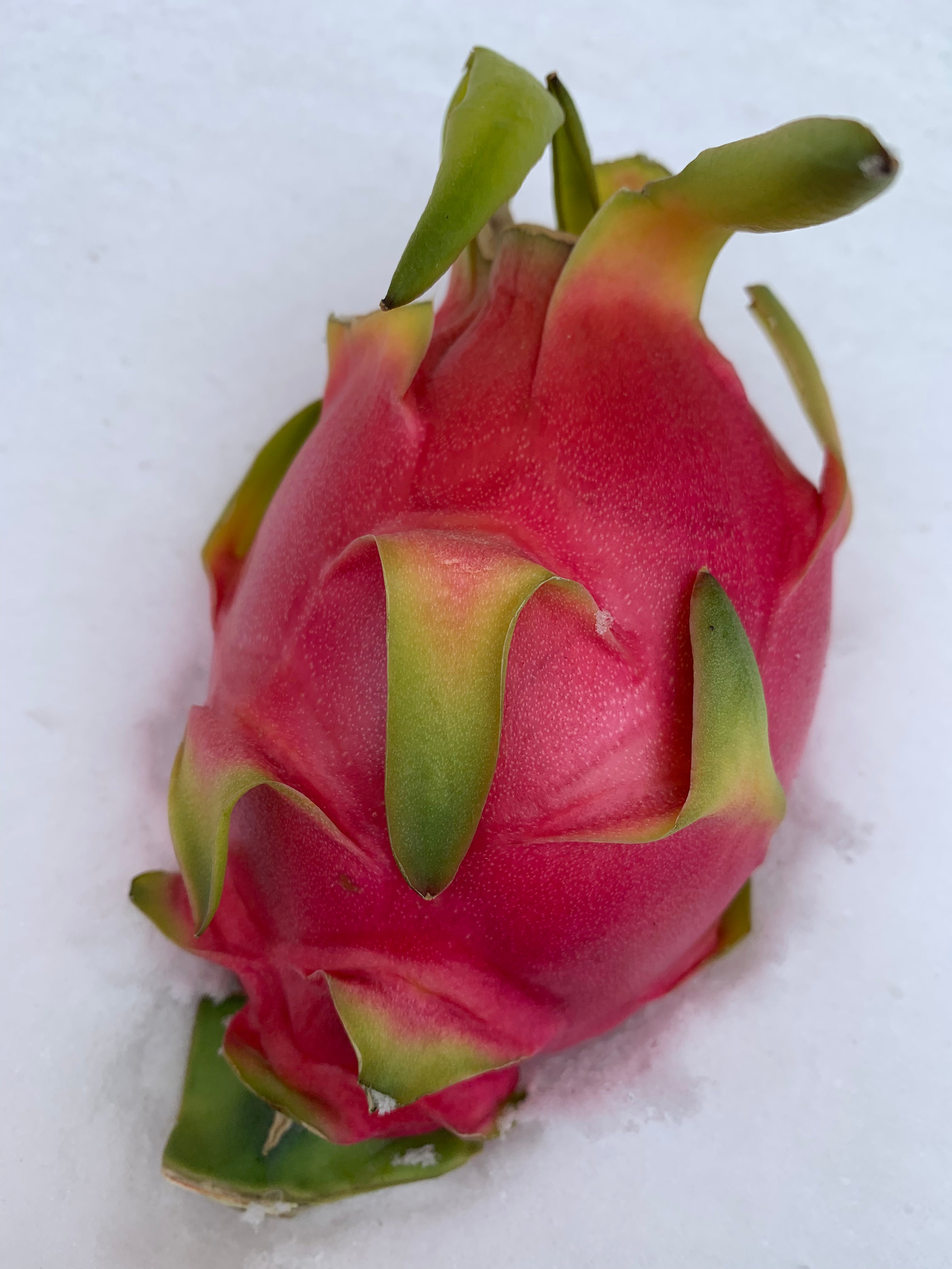 Congo Dragon Fruit Pitaya Red (White Flesh) Shipping