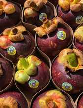 Load image into Gallery viewer, MANGOSTEEN | SAMPLER 4-8 PIECES (~1.1LBS)