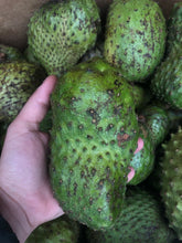Load image into Gallery viewer, SOURSOP | GUANABANA COROSSOL DOMINICAN REPUBLIC  (BOX ~5 LBS 1-8 FRUITS)