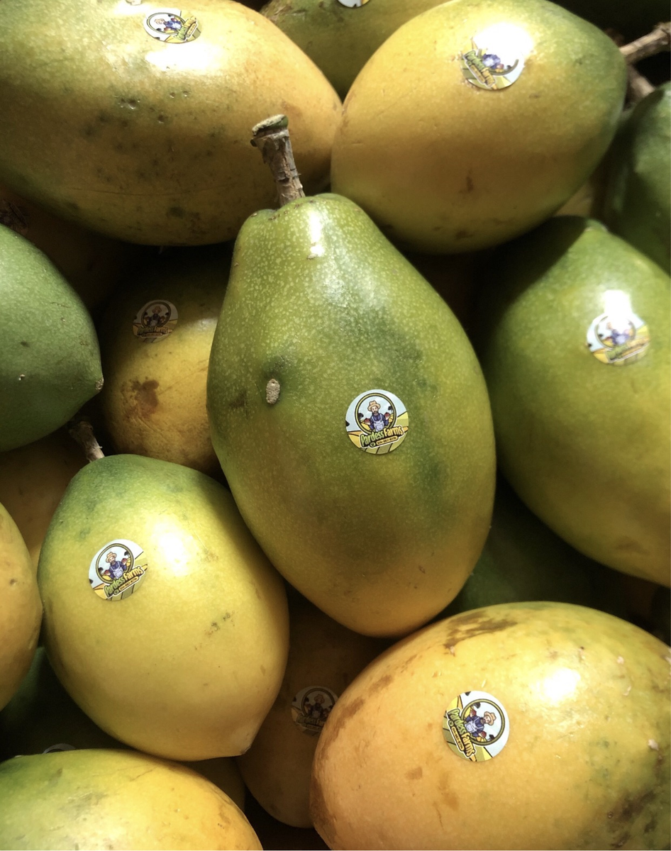 SWEET MARACUA PASSIFLORA ALATA (2) Pardess Farms