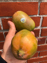 Load image into Gallery viewer, Mango | Julie Mango Jamaica 2kg Box
