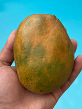 Load image into Gallery viewer, Mango | Julie Mango Jamaica 2kg Box